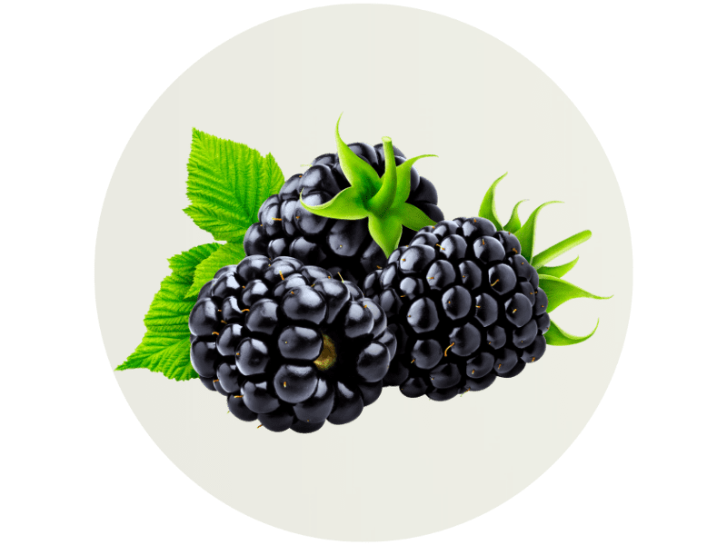 Mehrere Brombeeren auf transparentem Hintergrund.
