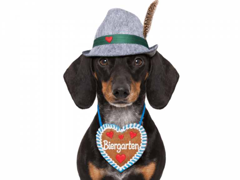 Dackel mit bayerischem Hut und Lebkuchenherz mit der Aufschrift Biergarten.