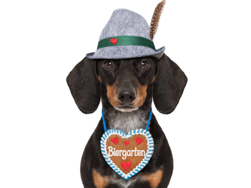 Dackel mit bayerischem Hut und Lebkuchenherz mit der Aufschrift Biergarten.