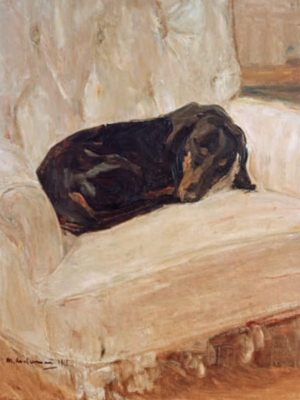 Schlafender Dackel auf hellem Lehnstuhl von Max Liebermann