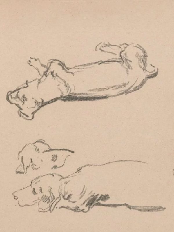 Teckelstudien von Max Liebermann mit ruhenden Dackeln